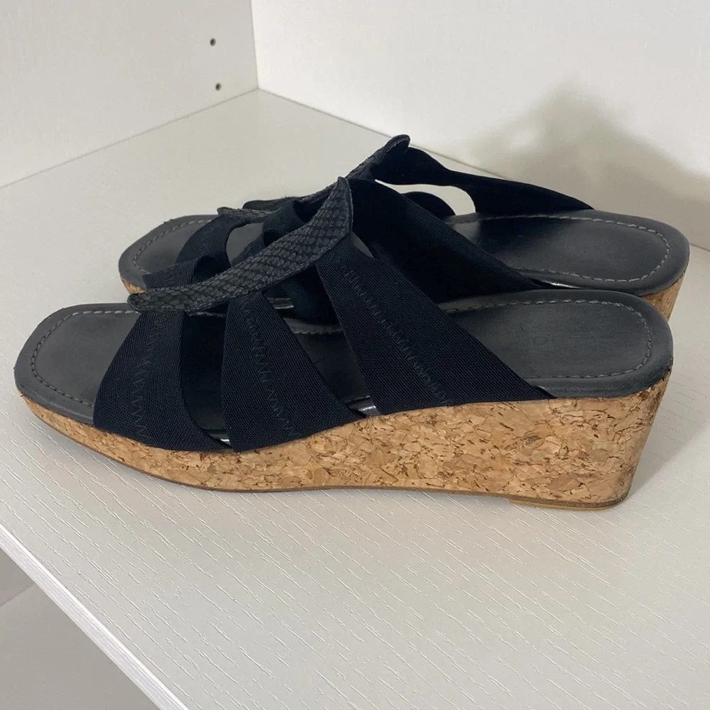Donald J. Pliner shoes box
